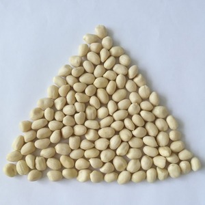 Cacahuetes blanqueados orgánicos de alta proteína recién procesados a granel para pedidos grandes Procesamiento crudo de pureza 100% - Product Image 5