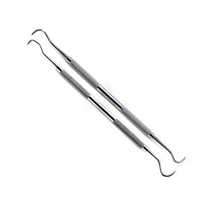 Juego de 2 uds., nuevo escalador Dental Anterior Posterior, instrumento de Periodoncia de acero inoxidable, equipos dentales CE - Product Image 1