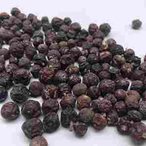 New season Organic natural dried juniper berries bulk supply premium quality wholesale private label packaging for international - Product Image 6