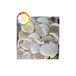 Noix de coco mangue surgelées biologiques de qualité supérieure en vrac pour les fabricants et les acheteurs en gros - Product Image 2