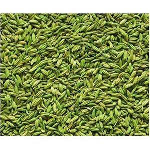 เมล็ดยี่หร่าออร์แกนิคคุณภาพพรีเมียม รูปทรงลูกบาศก์ เกรดอาหาร ปรุงด้วยวิธีที่ถูกสุขอนามัย รักษาความชื้นอย่างควบคุม - Product Image 1