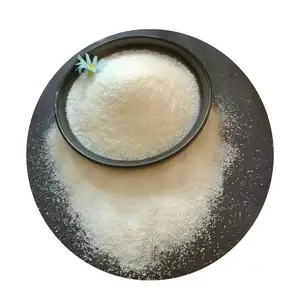 Anionic Polyacrylamide (APAM) Solid Anionic Polyacrylamide Apam Solution/Powder Water Treatment Chemicals CAS No. 9003-05-8