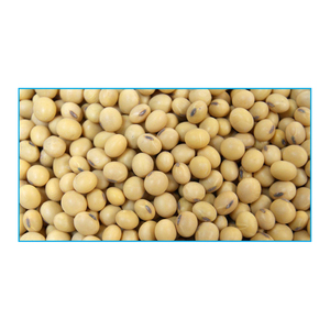 <b>soybeans</b> offered for sale with seasonal promotions for international buyers - Product Image 5