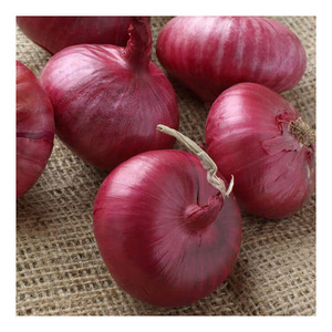 Venta caliente cebolla roja fresca grande, al por mayor suministro a granel, cebolla de exportación Premium, saludable y fresca, mejor precio, alta demanda - Product Image 5