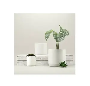 小餐厅陶瓷花盆白色粘土活动功能装饰物品顶级设计快速发货