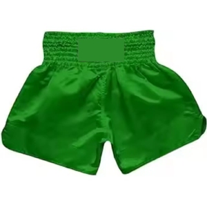 Nuevos pantalones cortos de lucha Muay Thai para adultos hechos a medida de alta calidad, pantalones cortos bordados MMA profesionales Muay Thai - Product Image 2