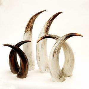 ฮอร์นแอฟริกันสีขาวขนาด25นิ้วตกแต่งของแท้จากพระเจ้าในต่างประเทศด้วยความเงางามสูงทำจากอินเดียงานฝีมือตามธรรมชาติ - Product Image 3