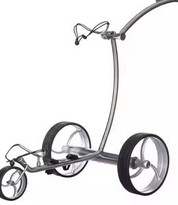 Chariot de golf électrique avec fonction de poussée, capacité de 40 kg, origine NY, chariot de golf spécial pour les voyages - Product Image 1