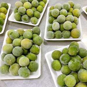 CALAMANSI CONGELADO DE VIETNAM PARA FABRICANTES DE BEBIDAS CONCENTRADOS DE JUGO Y EXPORTADORES DE ALIMENTOS ORGÁNICOS - Product Image 1