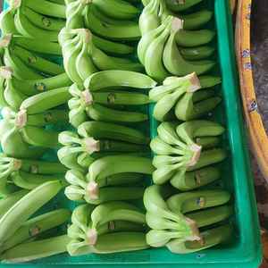 CAVENDISH 100% Natural Premium Grade 13kg Vietnam Origin Green Tropical Fruit <b>Fresh</b> Style Cold Storage Ready for Export - Product Image 3