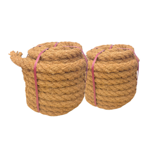 Hot Item Product COIR MAT / COIR ROPE Soluciones ecológicas para la erosión: por qué la cuerda de fibra de coco es su mejor inversión - Product Image 1