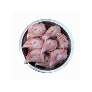 Cabezas de Pollo a Precio de Fábrica, Suministradas para Pedidos de Gran Volumen - Product Image 3