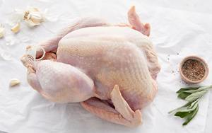 Venta Especial: Patas de Pollo Halal Congeladas, Grado Premium A, Envasadas al Vacío, 24 Meses de Caducidad, al Mejor Precio Competitivo - Product Image 4