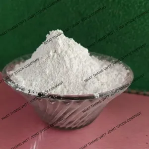 Vietnam Caco3 Limestone Calcium Carbonate Coated Powder Cheapest Price 1800 mesh industrial grade filler masterbatch manufacture