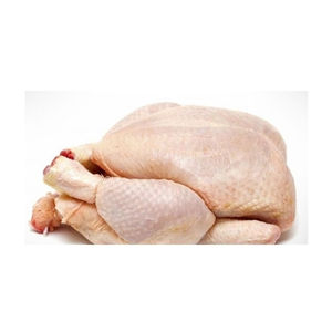 Exportación de pechuga de pollo Halal congelada estándar procesada con tecnología de congelación avanzada para compradores B2B globales minoristas y alimentos - Product Image 6