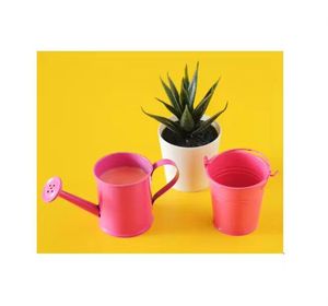 Arrosoir à longue buse nordique plantes domestiques arrosage arrosoir en métal intérieur et extérieur - Product Image 5