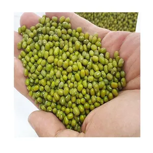 Высокое качество на заказ оптом по Заводской Цене Mung Beans