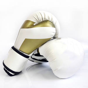 Muay Thai 2PC Niños Guantes De Boxeo Profesional - Product Image 3