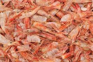 จัดจำหน่ายเปลือกหอยกุ้งแห้งนึ่งคุณภาพสูงโดยซัพพลายเออร์จากเวียดนาม - Product Image 5