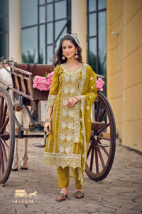 Ensemble Kurti en organza à broderies lourdes en soie Viscos Vatican, séchage rapide, pour femme, collection Diwali Salwar Kameez - Product Image 5