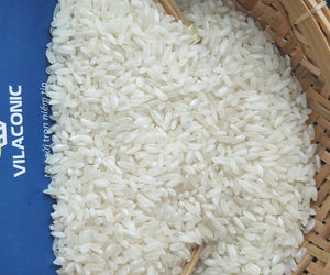 Riz égyptien Camolino Calrose à grain court moyen Japonica Riz Arroz variété fraîche 5kg 10kg 25kg 50kg sacs BOPP/PP/PAPE - Product Image 5