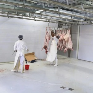 Máquina de matadero de ovejas y cordero, 60 cabezales por hora, línea de procesamiento de matadero Halal automatizada, carne Industrial de alta eficiencia - Product Image 6