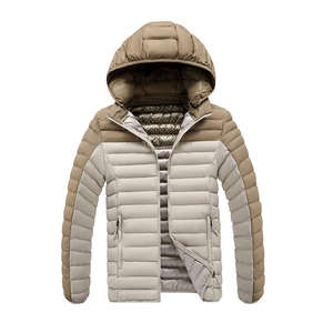 Blouson d'hiver matelassé OEM 2026 de haute qualité avec capuche, en tissu tissé, coton matelassé, décontracté, zippé, coupe-vent, réversible et respirant - Product Image 1
