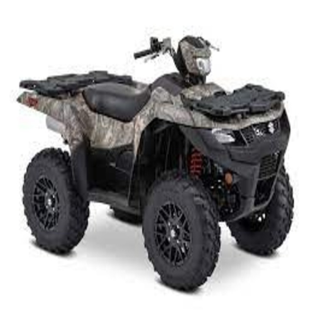 Квадроцикл Mud Quad atv