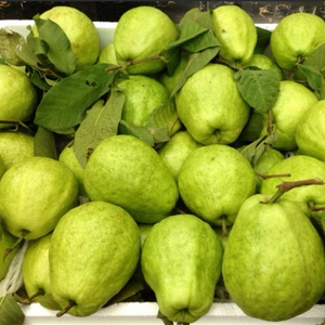 Goyave fraîche et sucrée |   Fruits tropicaux de premier choix |   Riche en vitamines et consommation quotidienne - Product Image 5