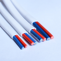 Großhandel RVVB 2x4mm Kupfer-Elektrokabel PVC-Isoliert Stromkabel für Hausheizungsanwendungen
