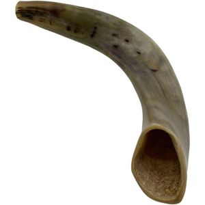 Shofar Horn Shofar Kudu Cuerno Instrumento musical judío - Product Image 4