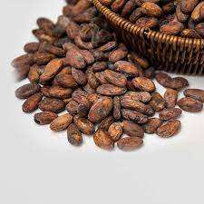 Granos de Cacao Naturales de Primera Calidad al por Mayor, Tostados y Secos, Variedad Forastero, Sin OMG - Product Image 4