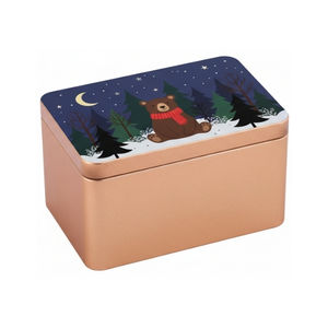 Recyclable Rectangular Matte Tinplate <b>Cookie</b> Tin <b>Box</b> Customizable Food Packaging - Product Image 1