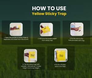 Chipku A5 Piège collant jaune pour insectes paquet de 50 feuilles | Pour le jardin et l'agriculture pour contrôler les aleurodes, les pucerons, les thrips, les assids - Product Image 4