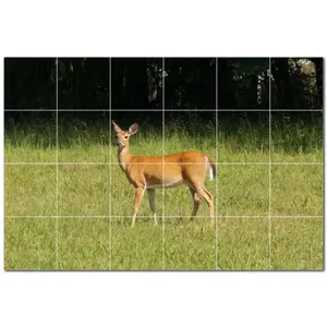 Mural de pared de azulejos de cerámica de ciervo PT500456 36 \ "W X 24 \" H Juego de 24 azulejos de cerámica 6x6 - Product Image 1