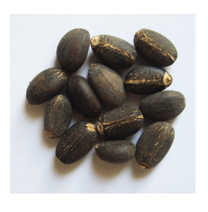 Giá rẻ khô jatropha hạt giống để bán Chất lượng cao cung cấp số lượng lớn cho sản xuất nhiên liệu sinh học nông nghiệp và xuất khẩu bán buôn trên toàn thế giới sử dụng - Product Image 1