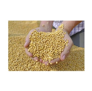 Bán buôn Hữu Cơ đậu nành/Đậu Nành Đậu/đậu nành có sẵn trực tiếp từ Mỹ - Product Image 2