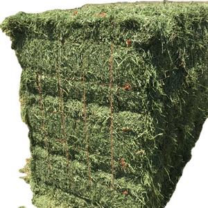 High Quality Rhodes <b>Grass</b> Hay Alfalfa Top Tier Animal <b>Feed</b> at Inexpensive Price - Product Image 4