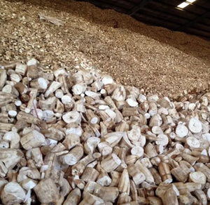 Chất Lượng Cao Cấp Khô Sắn Chip Cho Gia Súc Động Vật Thức Ăn Độ Ẩm 14% Tinh Bột 89% - Product Image 5