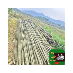 Proyectos de construcción de edificios con tubo de postes de bambú de alta resistencia que proporciona material duradero y sostenible con fuerte soporte - Product Image 5