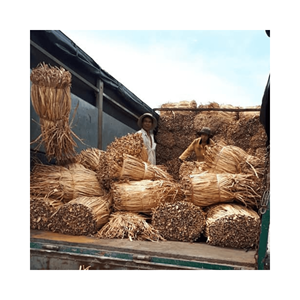 Jacinto de agua/jacinto de agua seca de Vietnam Materia Prima para tejer muebles artesanales con alta calidad al mejor precio - Product Image 1