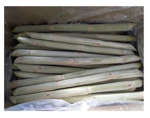อ้อยแช่แข็งจากเวียดนามราคาดีที่สุดสำหรับผลไม้หวานจำนวนมาก - Product Image 3