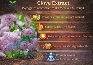 HGO Fournisseur direct d'usine d'extrait naturel de clou de girofle (Syzygium aromaticum (L.) Merr.) & L.M. Extrait de qualité alimentaire Perry) à rapport 10:1 - Product Image 5