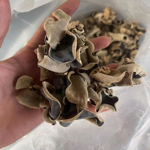 Seta de oreja de madera seca de alta calidad | Hongo negro orgánico de Vietnam - Product Image 1