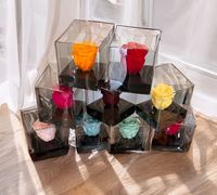 Rosa Eterna Preservada, Flores Naturales Hechas a Mano, Todos los Colores Personalizables, Larga Duración de 3 a 5 Años, Graduación, Año Nuevo