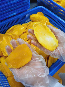 มะม่วงแช่แข็งแสนอร่อย: ปอกเปลือกที่มีคุณภาพสูงก้อนหวานส่งตรงจากผู้ผลิตในเวียดนามสำหรับความต้องการด้านการทำอาหารระดับโลก - Product Image 5