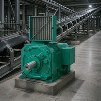 Moteur électrique DC WPDJ Z4-400-31 300KW 440V 400RPM pour convoyeur certifié CE