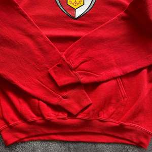 2023 Hot Sale Youth Dirty Sport <b>Hoodie</b> <b>for</b> <b>Men</b> High Quality 50% Cotton 50% Polyester <b>MENS</b> TEXANS <b>RED</b> <b>HOODIE</b> - Product Image 3