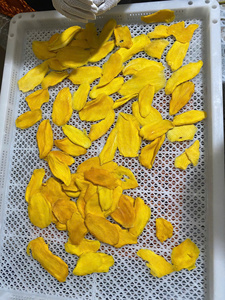 Chewy <b>Dried</b> <b>Mango</b>, No Artificial Flavors, Dessert <b>Dried</b> <b>Mango</b> No Sugar Added, Sweet Purely Natural, Ideal for Diet Snacks - Product Image 4