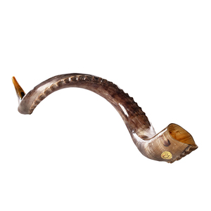 Corne casher yéménite de haute qualité Shofar corne à boire polie - Product Image 2